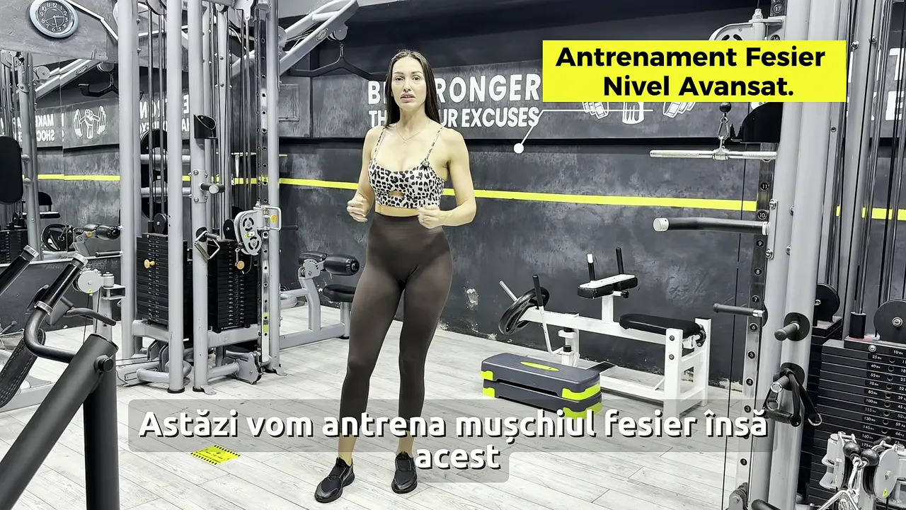 Laura prezintă FESIERI, nivel avansat
